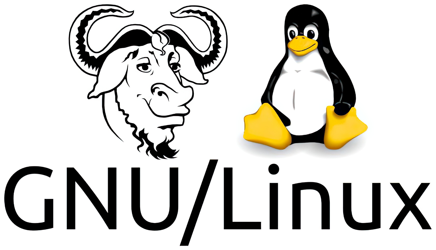 GNU Public License