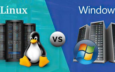 THE DIFFERENCES BETWEEN WINDOWS AND LINUX